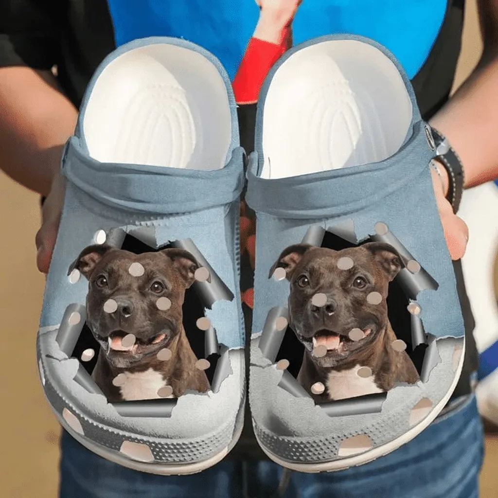 Pitbull Hello Crocs Clog