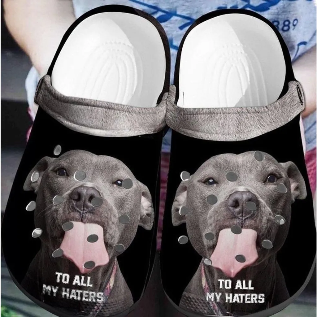 Pitbull To All My Haters Rubber Crocs Clog