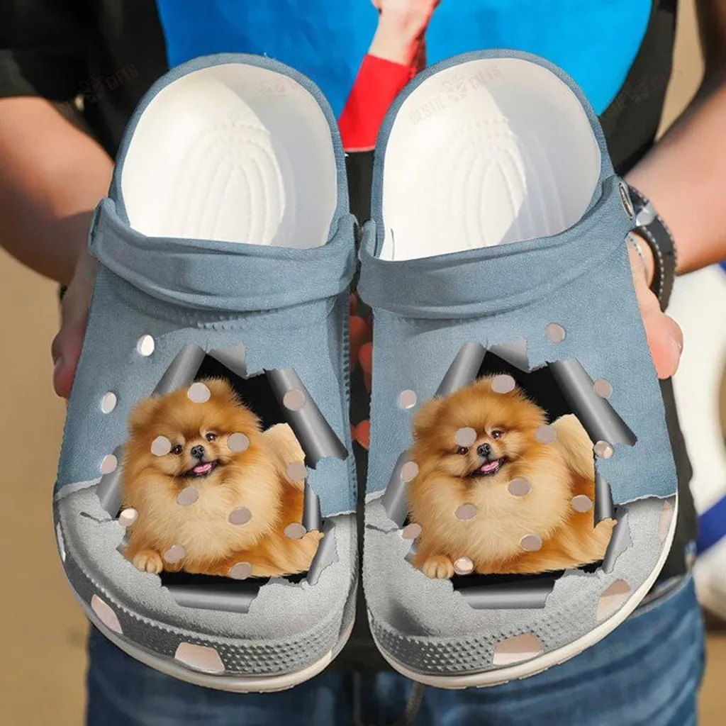 Pomeranian Hello Crocs Classic Clogs